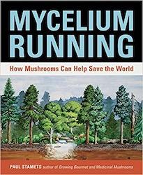 Mycelium Running: How Mushrooms Can Help Save the World