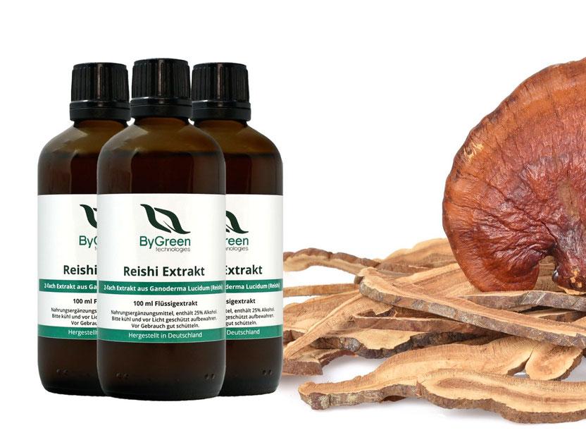 Hochwertiger Flüssigextrakt aus dem Reishi Vitalpilz